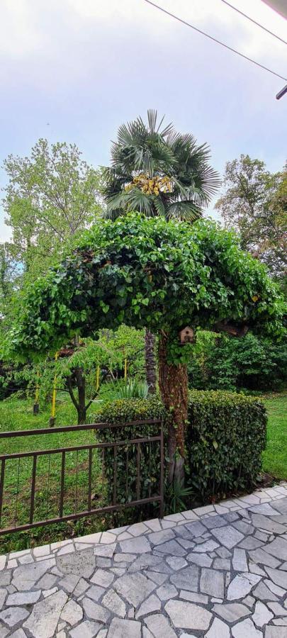 Rooms Sanja, Lovran - Opatija エクステリア 写真